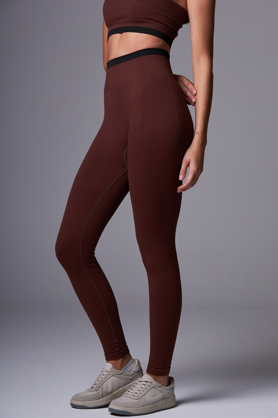 Legging Stripe Seamless DarkBrown&Black